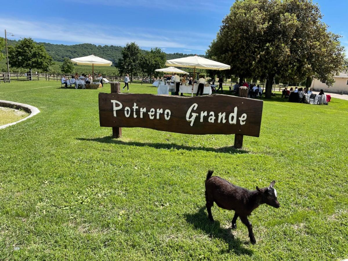 Agriturismo Potrero Grande Sul Lago Di Martignano Con Spiaggia Кампаньяно-ди-Рома Экстерьер фото